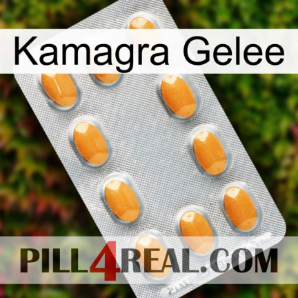 Kamagra Jelly cialis3